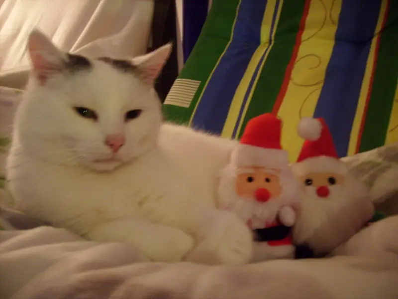 Andachtsbild von Uwe Bochmann