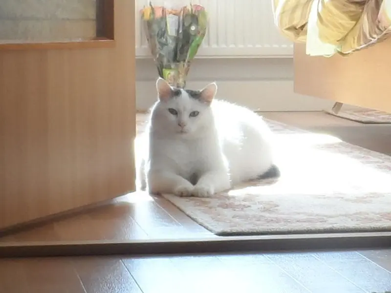 Andachtsbild von Uwe Bochmann