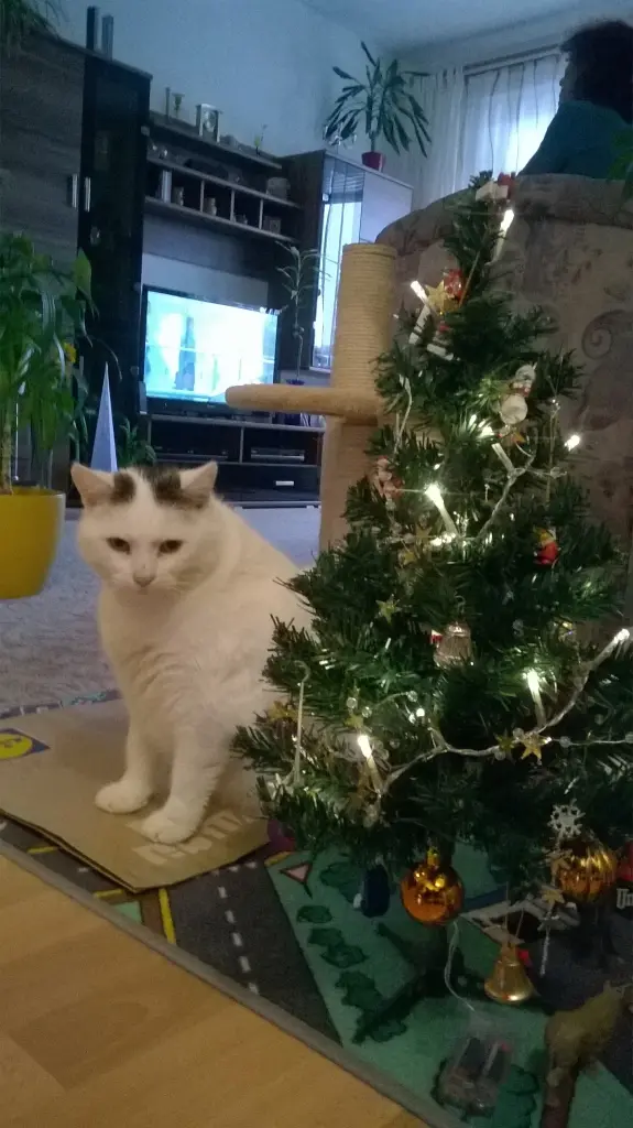 Andachtsbild von Uwe Bochmann