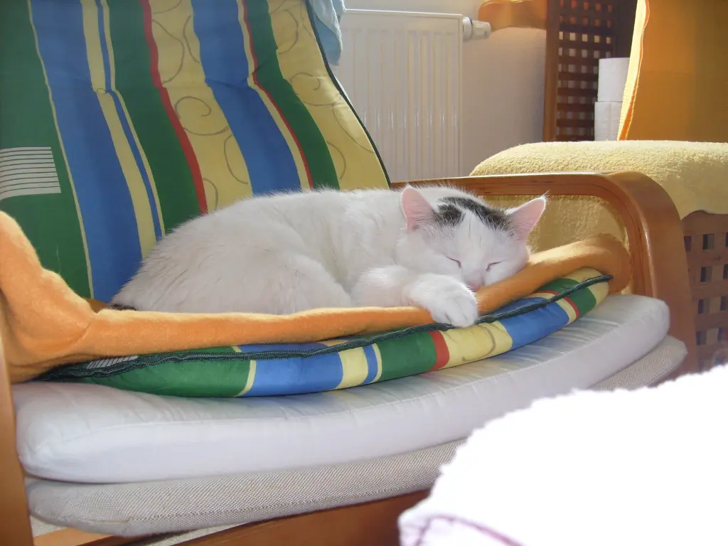 Andachtsbild von Uwe Bochmann