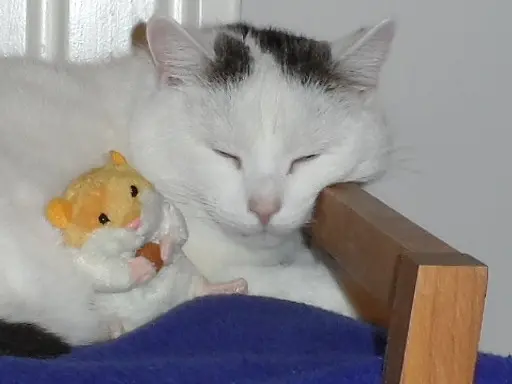 Andachtsbild von Uwe Bochmann