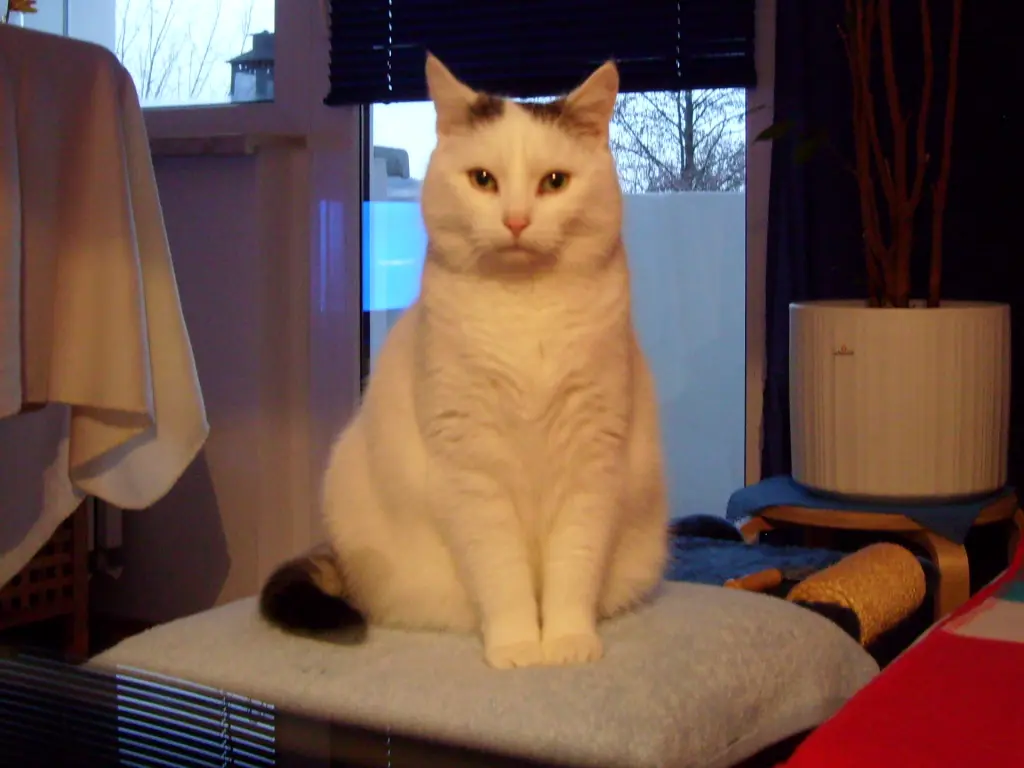 Andachtsbild von Uwe Bochmann