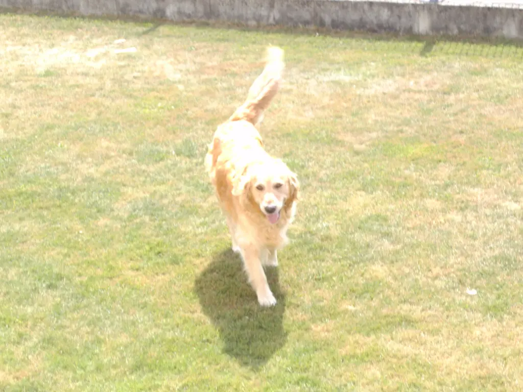 Image from Kessy