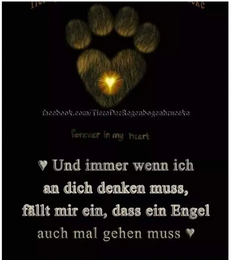 Condolence image of Unbekannt