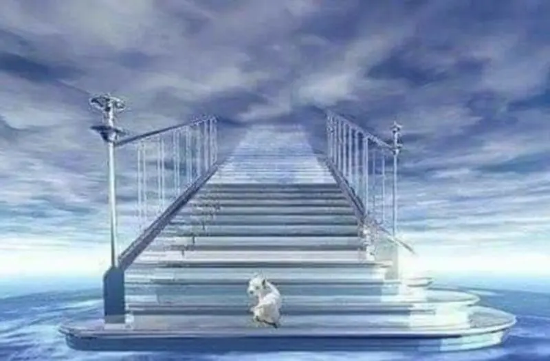 Condolence image of ❤