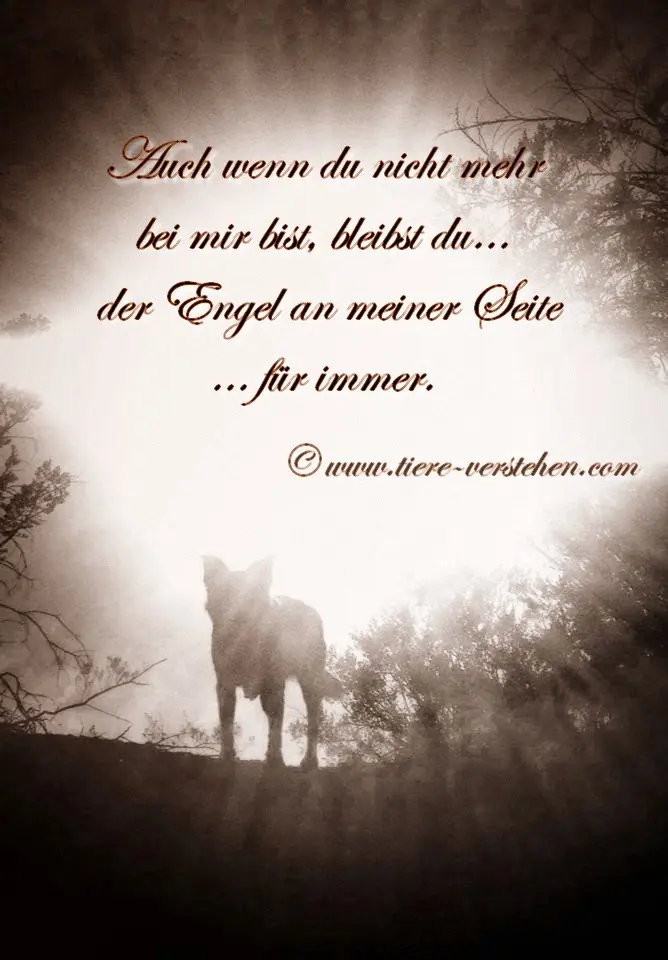 Condolence image of Eva