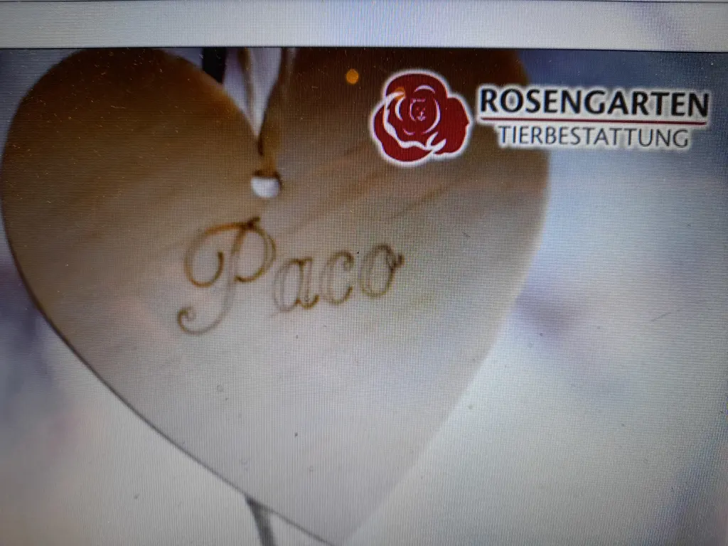 Image from Paco