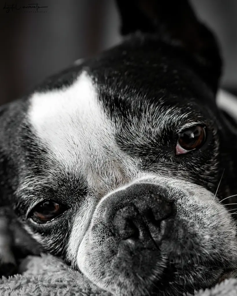 Condolence image of Markus