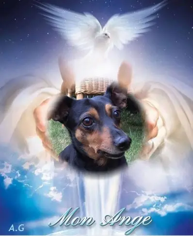 Condolence image of ❤️❤️❤️