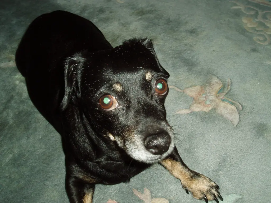 Condolence image of Unbekannt