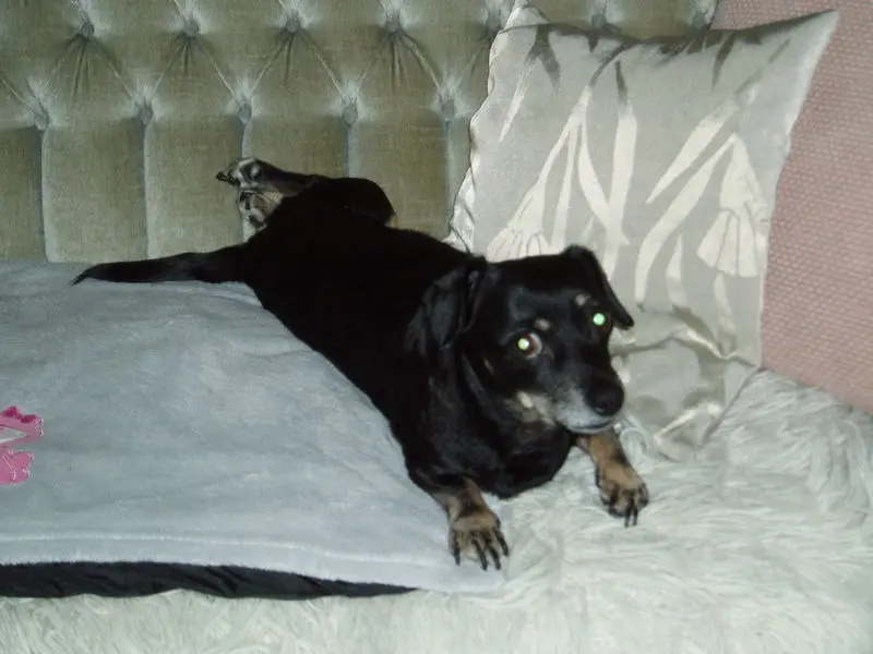 Condolence image of Unbekannt