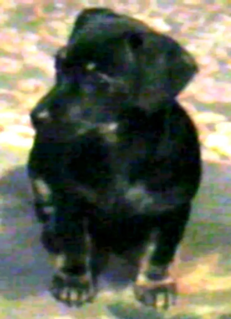Condolence image of Unbekannt
