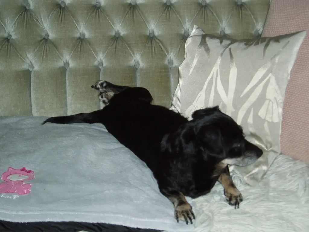Condolence image of Unbekannt