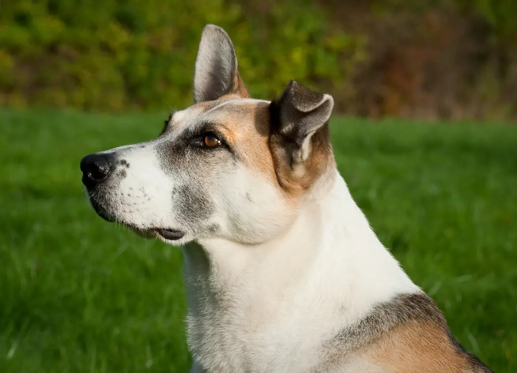 Condolence image of Tina