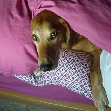 Andachtsbild von Marlies mit Pietsch tief im Herzen