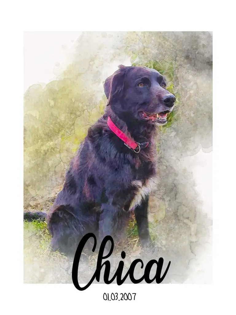 Bild von Chica