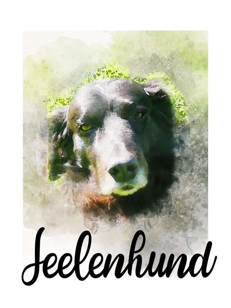 Bild von Chica
