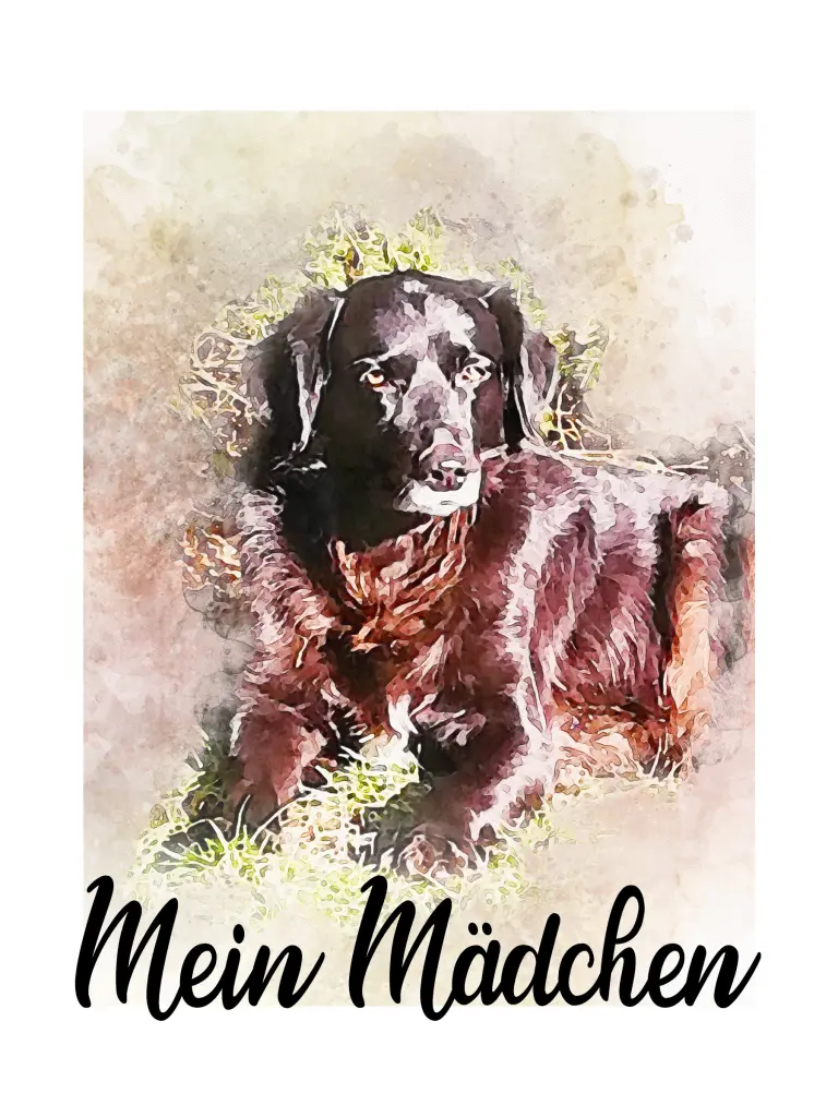 Bild von Chica