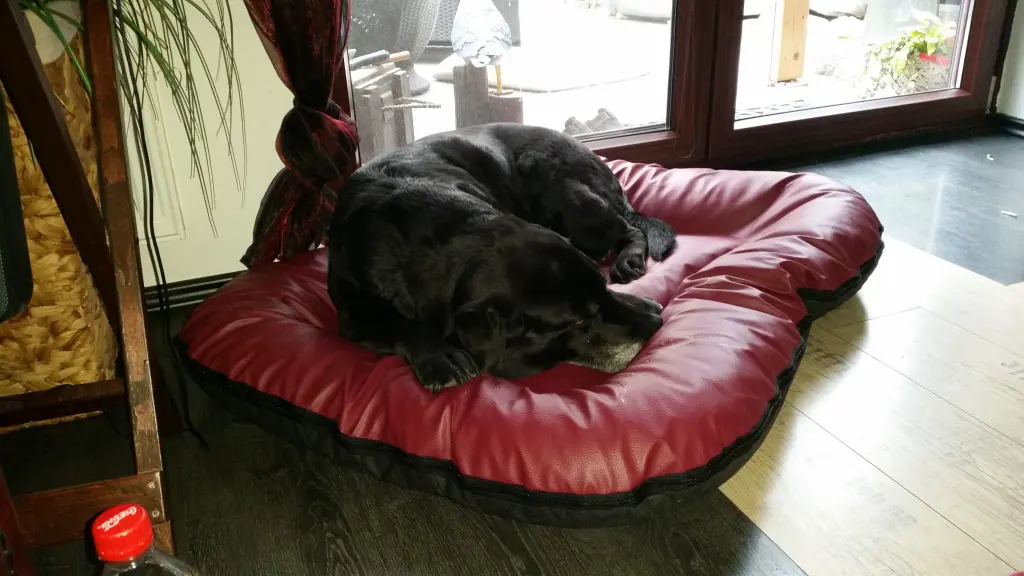 Image from Pepper