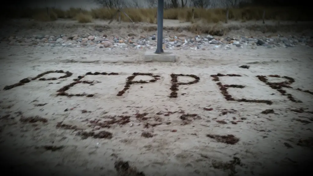 Image from Pepper