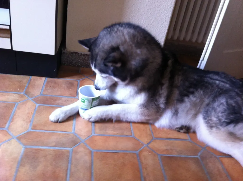 Image from Wolfi