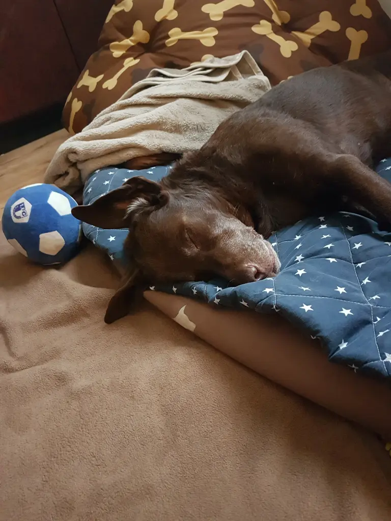 Andachtsbild von Unbekannt