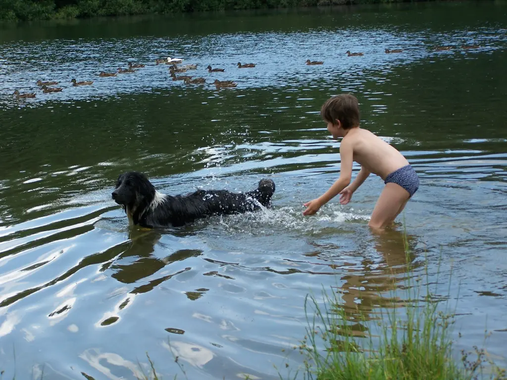 Andachtsbild von Maria