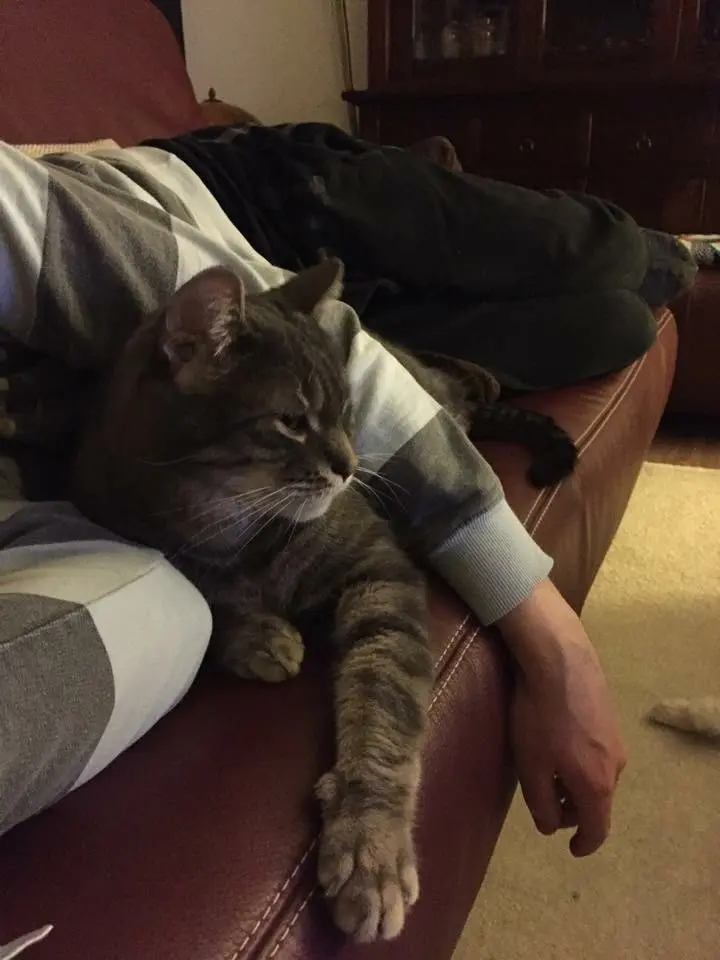 Image from Milow