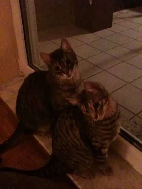 Image from Milow