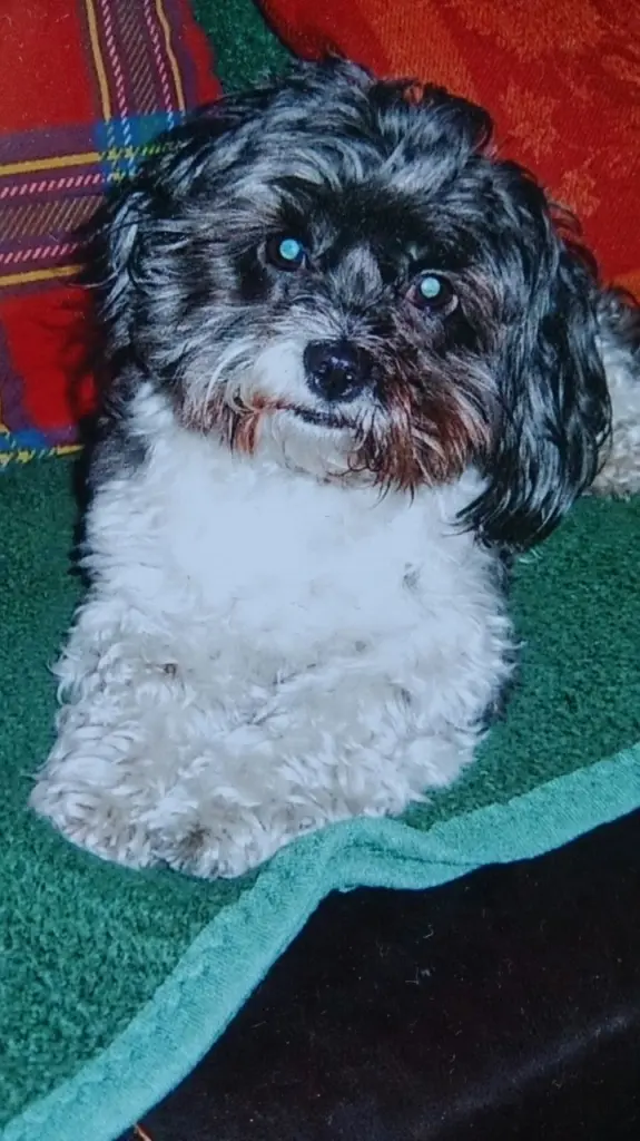 Condolence image of Sigrid
