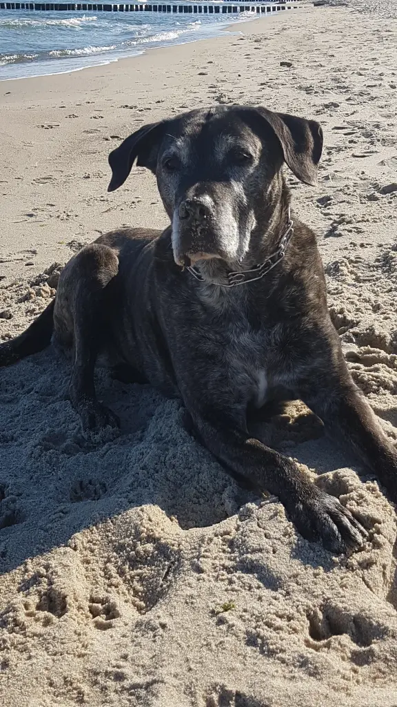 Image from Romy