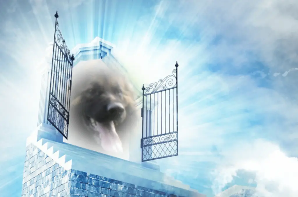 Condolence image of Birgit