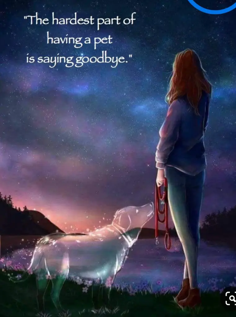 Condolence image of Rita