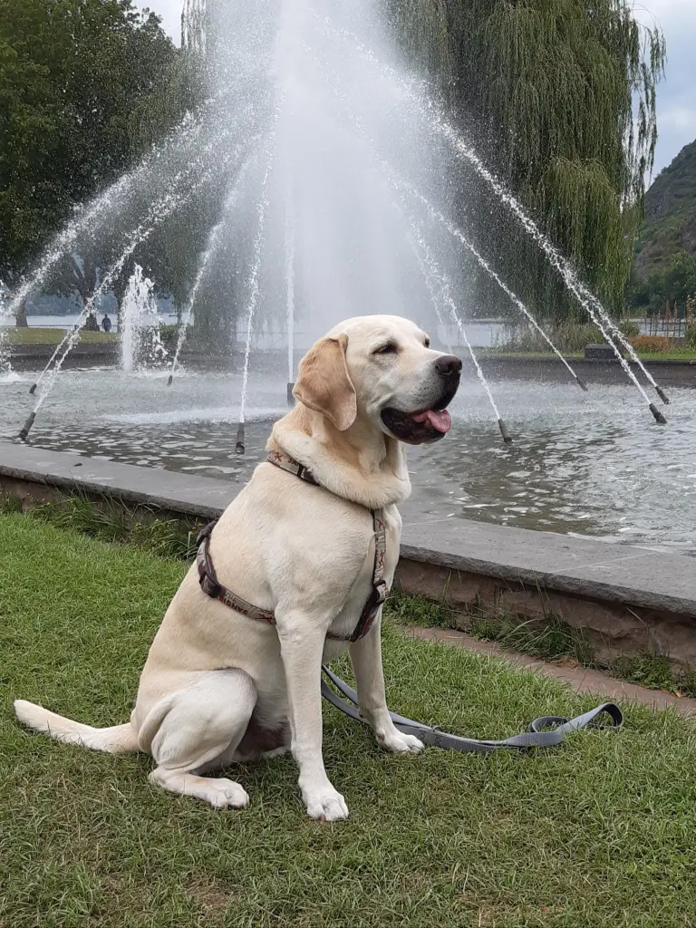 Condolence image of Andrea