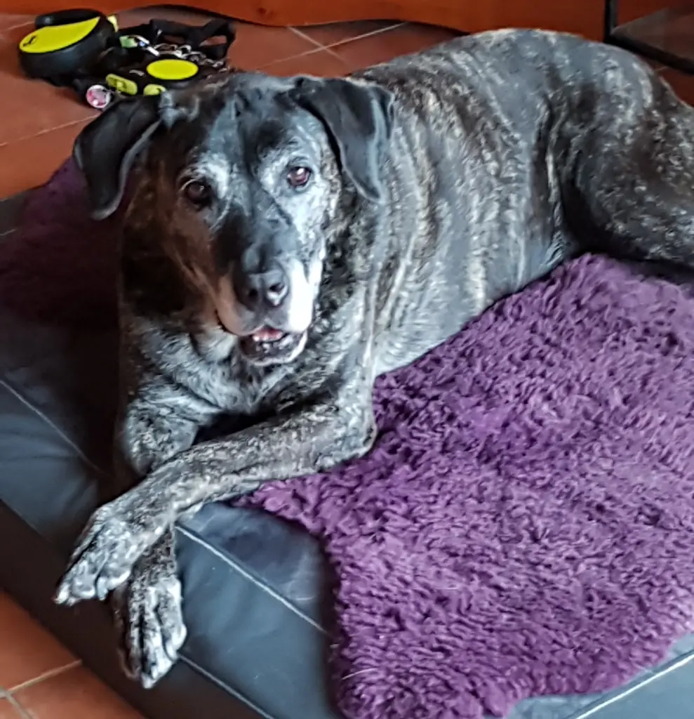 Condolence image of Claudia Haina