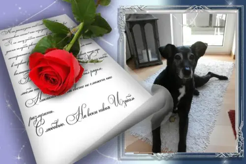Condolence image of Unbekannt