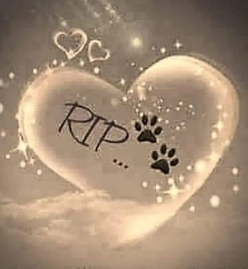 Condolence image of Unbekannt
