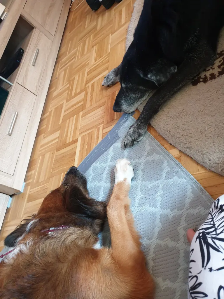 Andachtsbild von Saskia