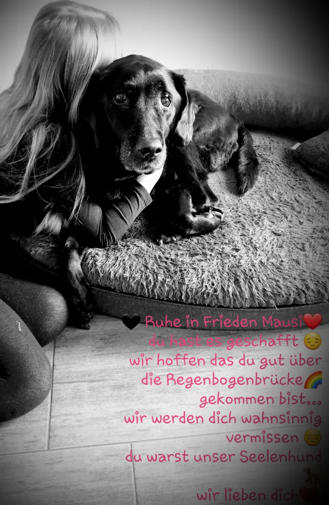 Image from Raika
