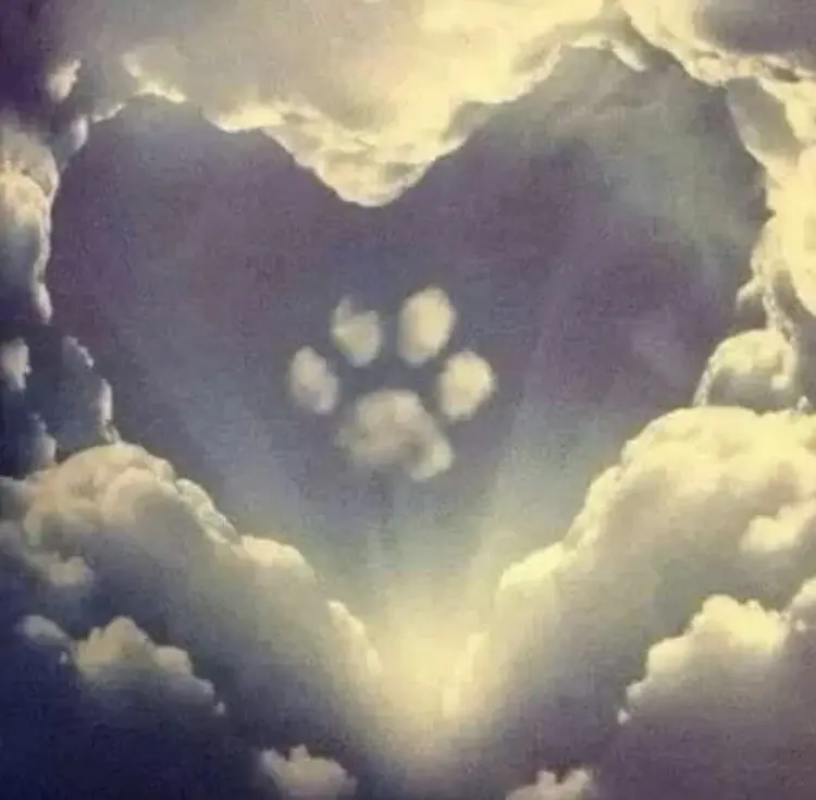 Condolence image of Unbekannt