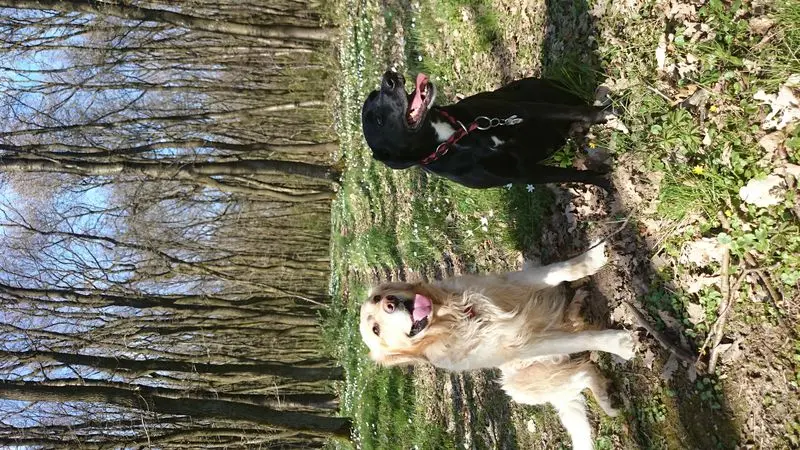 Image from Psycho
