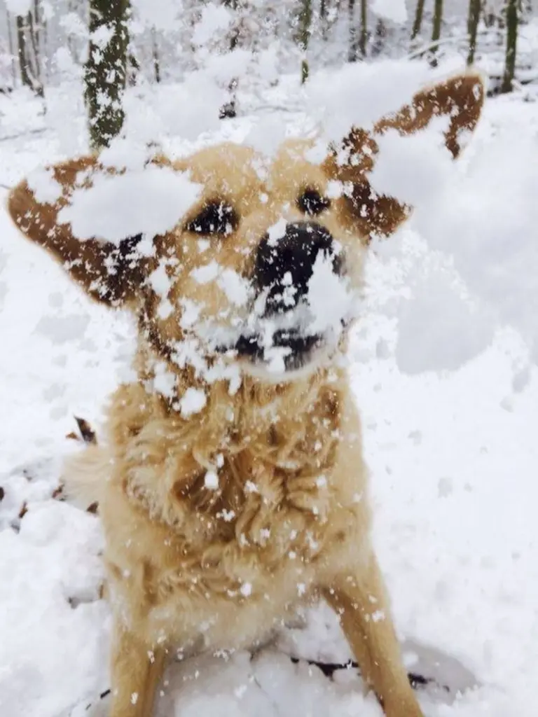 Condolence image of Annette