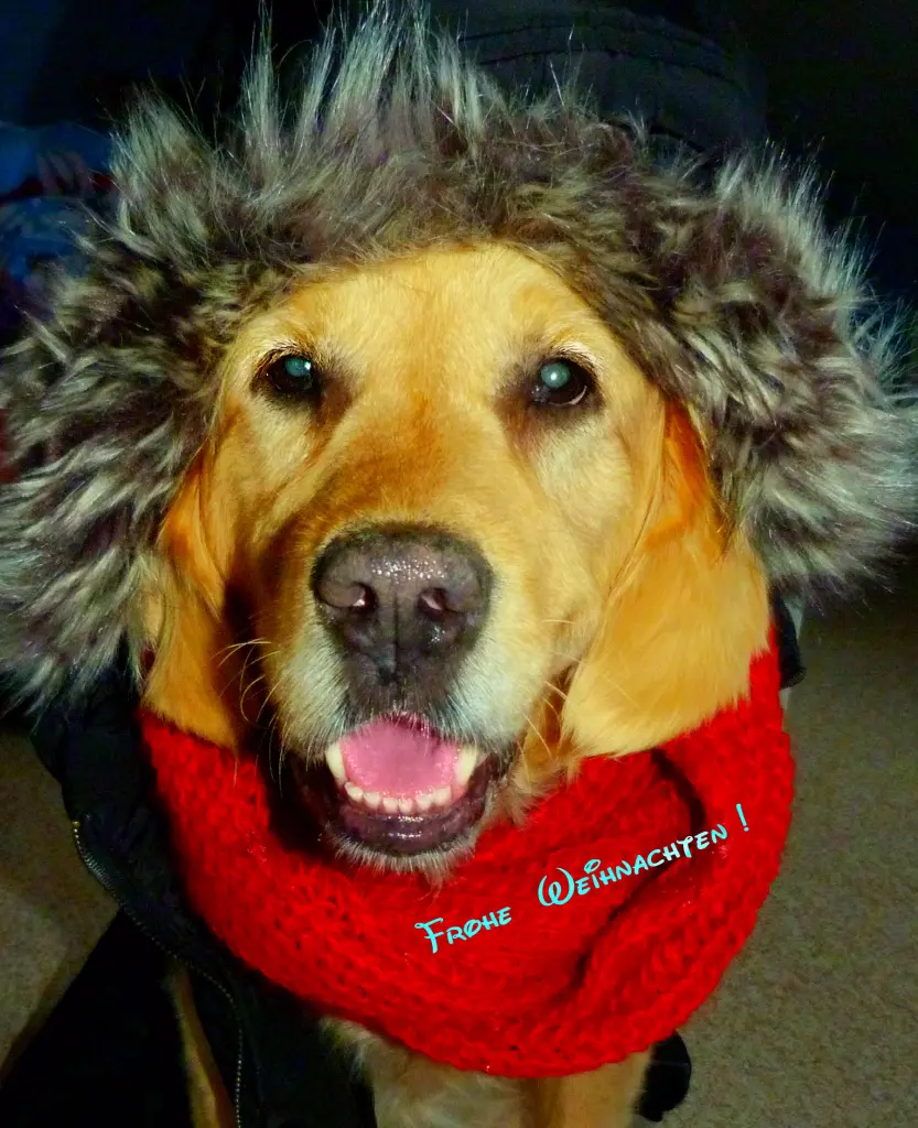 Image from Paula / Pupsi