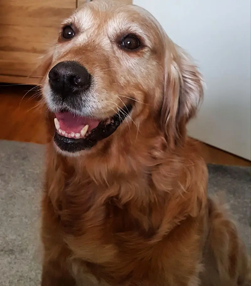 Condolence image of Claudia