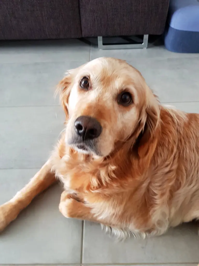 Condolence image of Claudia