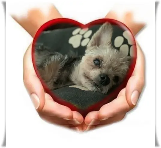 Andachtsbild von ❤️❤️❤️