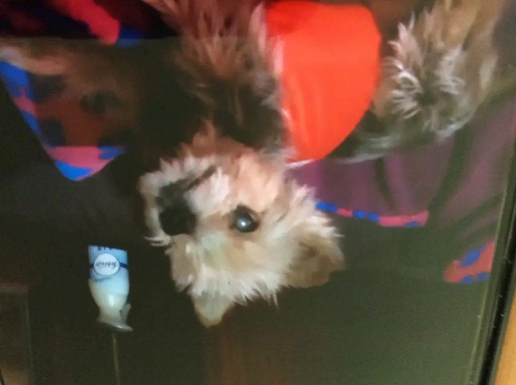 Andachtsbild von Heidi