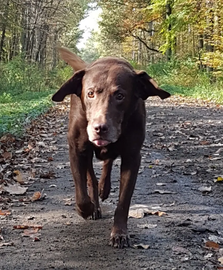 Andachtsbild von Von ♥️