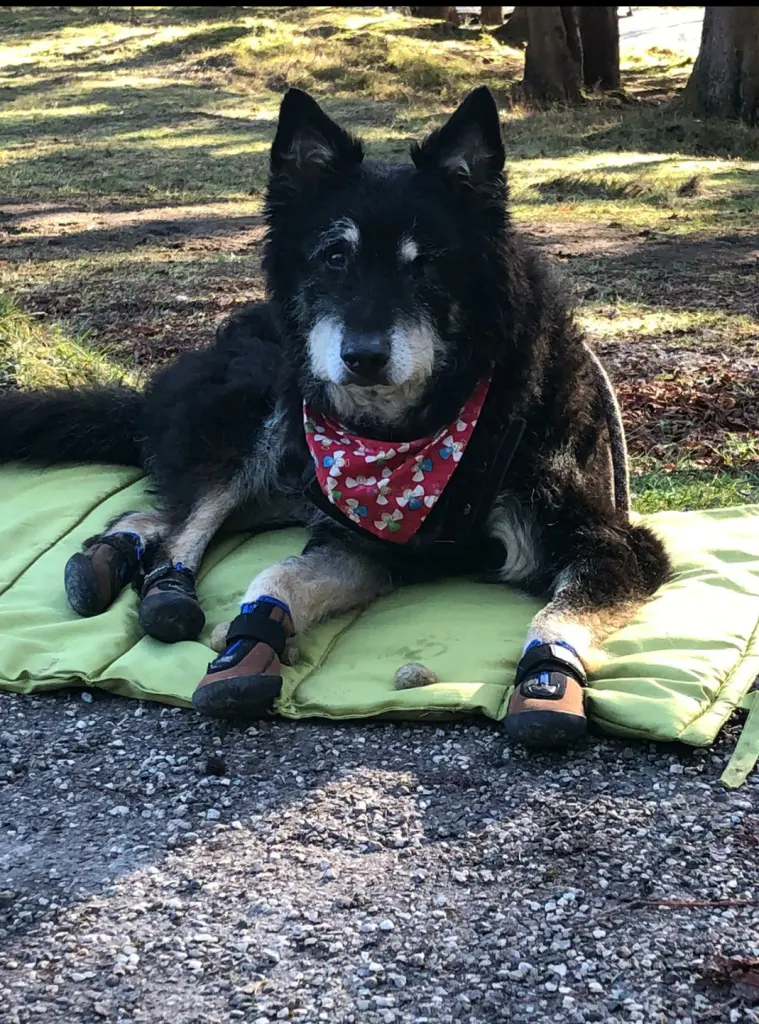 Andachtsbild von Monja