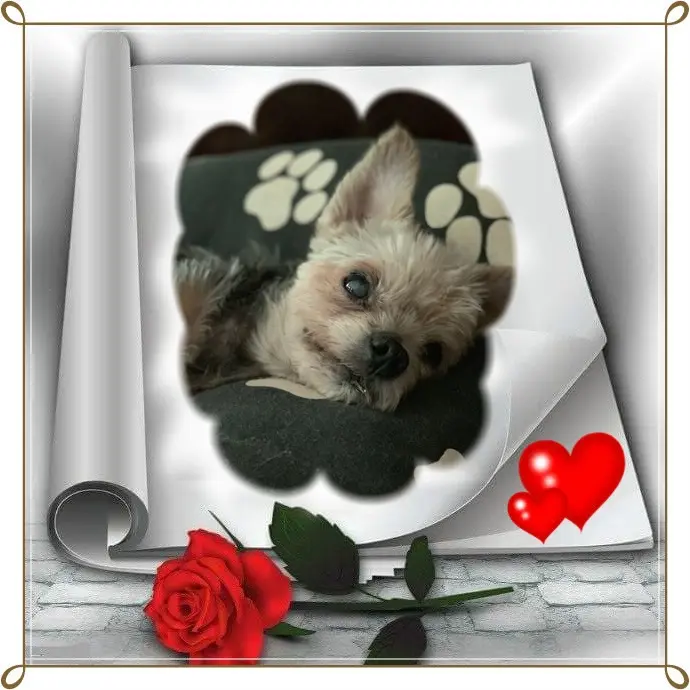 Andachtsbild von ❤️❤️❤️